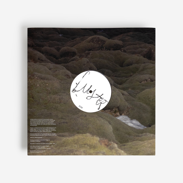 MARIA SOMERVILLE LUSTER 新品未開封 Maria Somerville – Luster – Vinyl (Clear, LP, Album), 2025