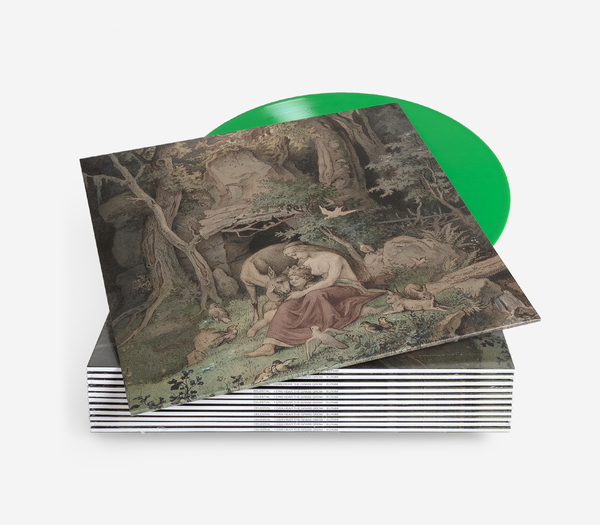 ⭐︎Günter Grass Werkausgabe 16巻セット ⭐︎Günter Grass Werkausgabe 16巻セット ⭐︎Günter Grass